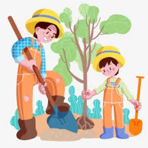 خدمة زراعة الاشجار